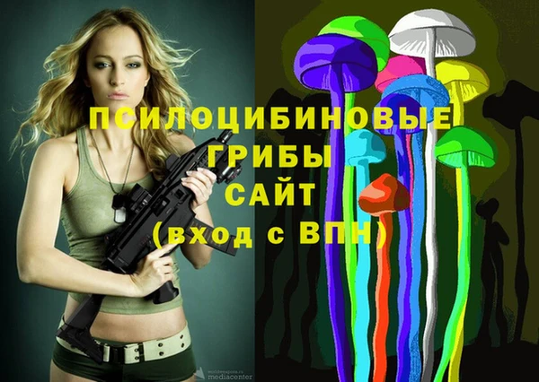 ALPHA PVP Алзамай