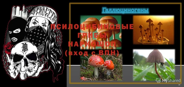 2c-b Алексин